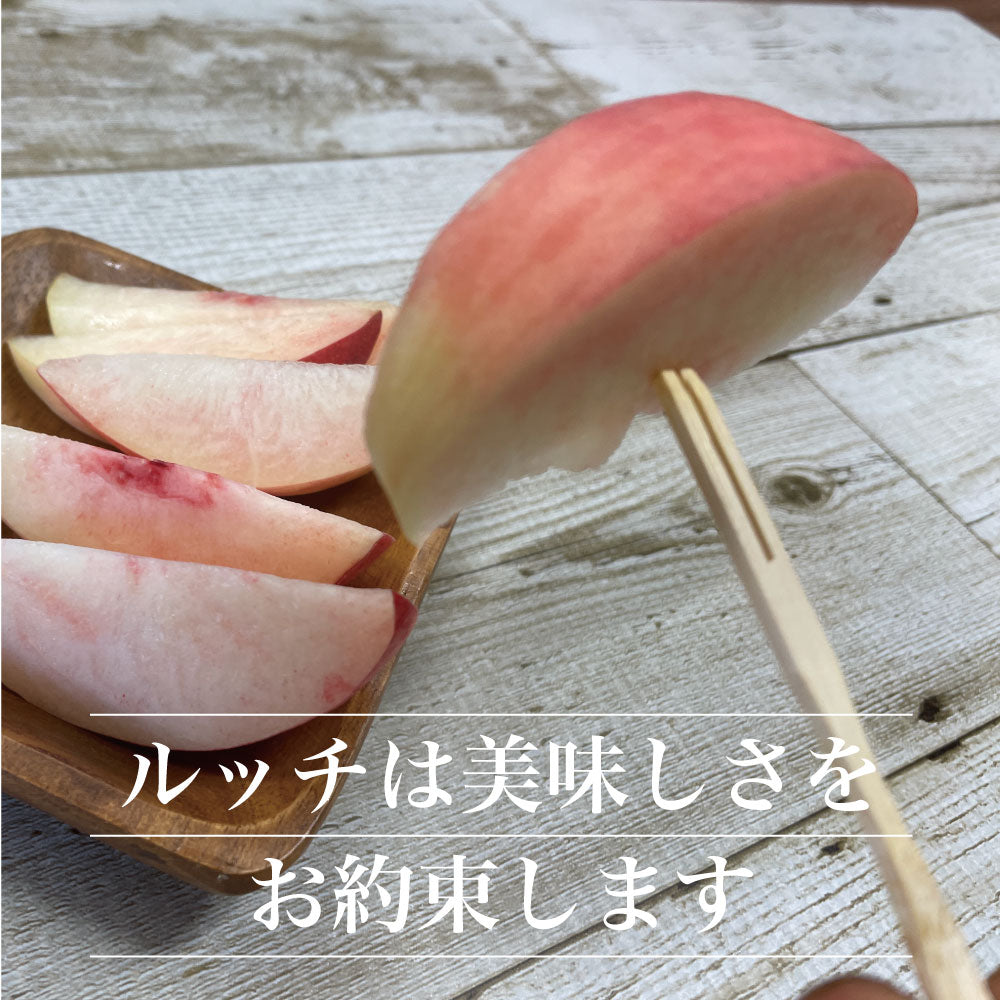 「硬質桃」【約2kg/4~6玉/糖度14度保証】皮ごと食べられる硬い桃 EC005(税込)