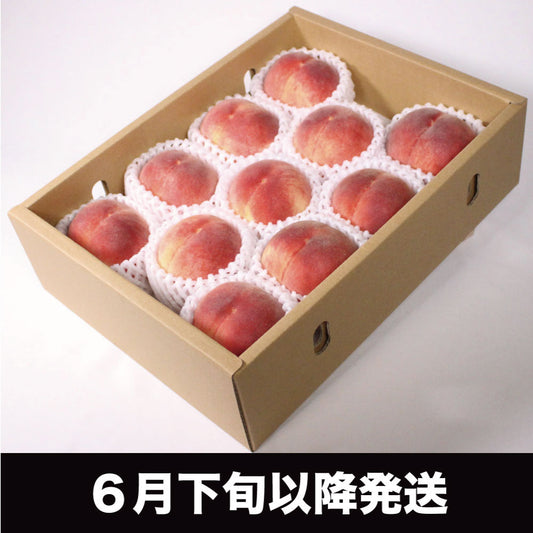「いちのみや」の桃【約3kg/7~12玉/糖度14度保証】EC003(税込)
