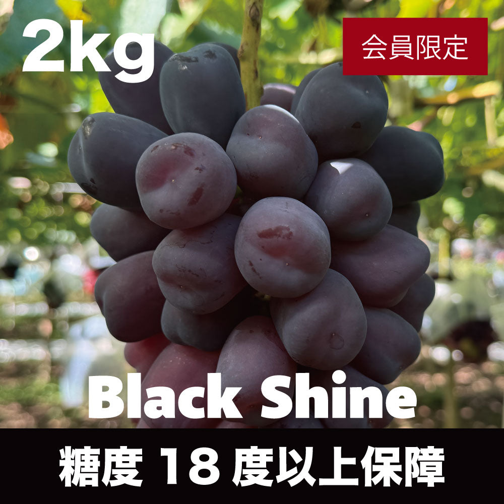 富士の輝<ブラックシャインマスカット>【約2kg/2~4房/糖度18度保証】EC023(税込)