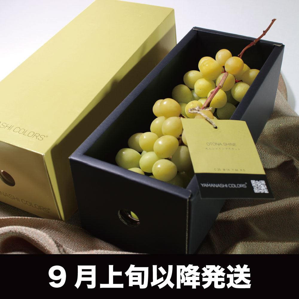 こどもシャインマスカット【約800g/2〜3房/糖度20度保証 】EC017(税込)