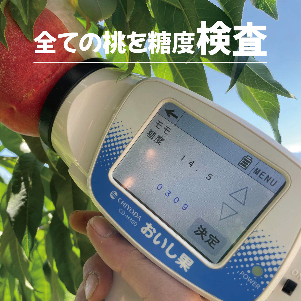 「いちのみや」の大玉桃【約2kg/4~6玉/糖度14度保証】EC002(税込)