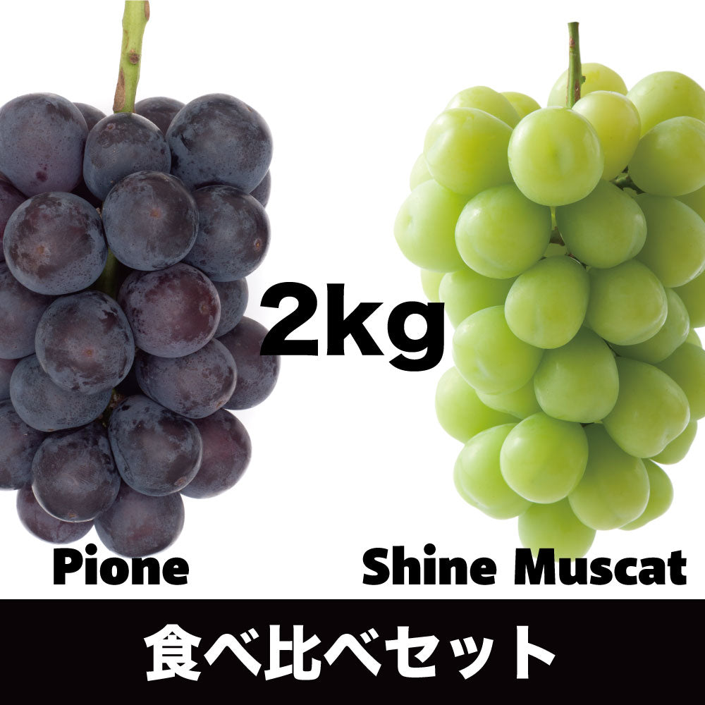 シャインマスカット・ピオーネ【約2kg/2~5房】EC021(税込)