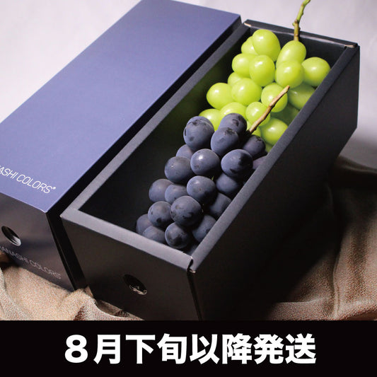 シャインマスカット・ピオーネ【約1kg/2~3房】EC020(税込)