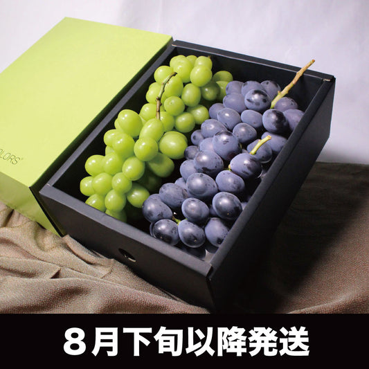 シャインマスカット・ピオーネ【約2kg/2~5房】EC021(税込)