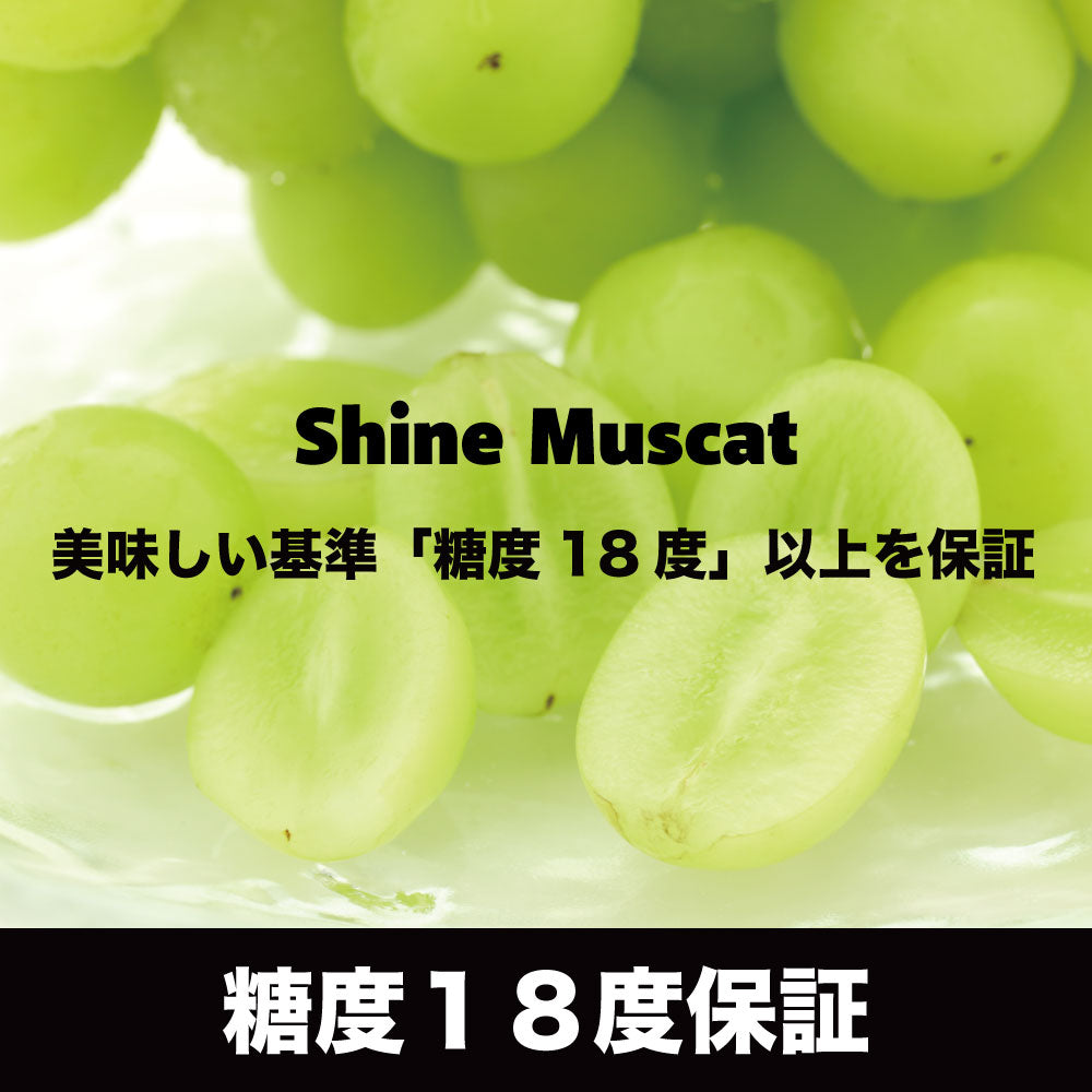 シャインマスカット・ピオーネ【約1kg/2~3房】EC020(税込)