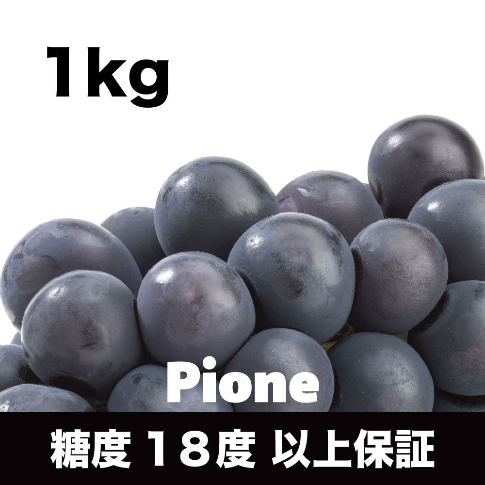 ピオーネ【約1kg/2~3房/糖度18度保証】EC012(税込)