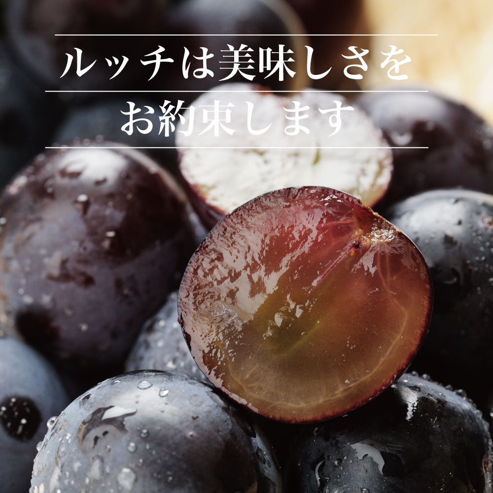ピオーネ【約2kg/3~5房/糖度18度保証】EC013(税込)