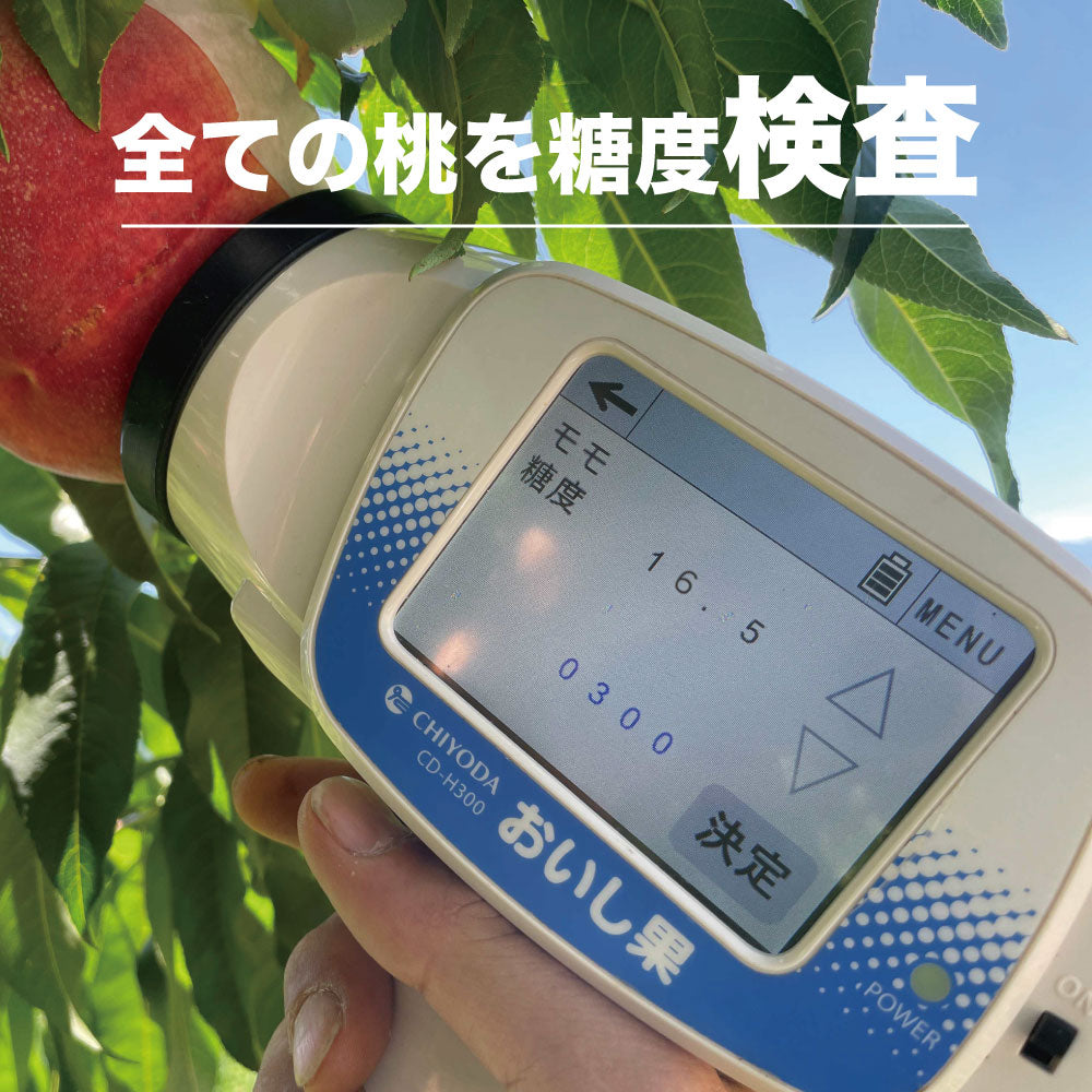 プレミアム「いちのみや」の大玉桃【1玉×400g以上/糖度16度保証】EC028(税込)