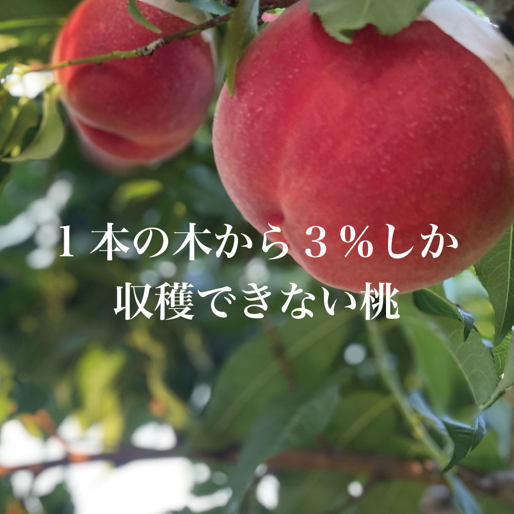 プレミアム「いちのみや」の大玉桃【1玉×400g以上/糖度16度保証】EC028(税込)