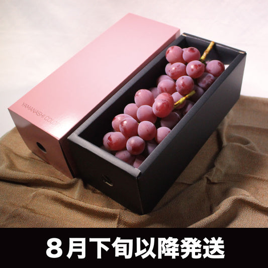 クイーンニーナ【約1kg/2~3房 /糖度20度保証】EC010(税込)