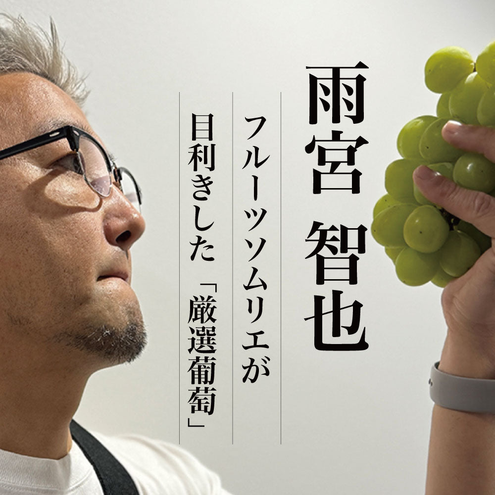 シャインマスカット【約3kg/4~8房/糖度18度保証】EC009{税込み}