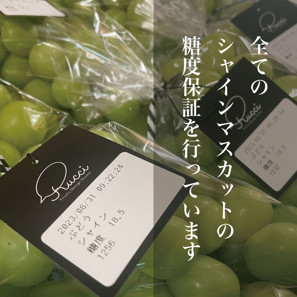 シャインマスカット【約3kg/4~8房/糖度18度保証】EC009{税込み}