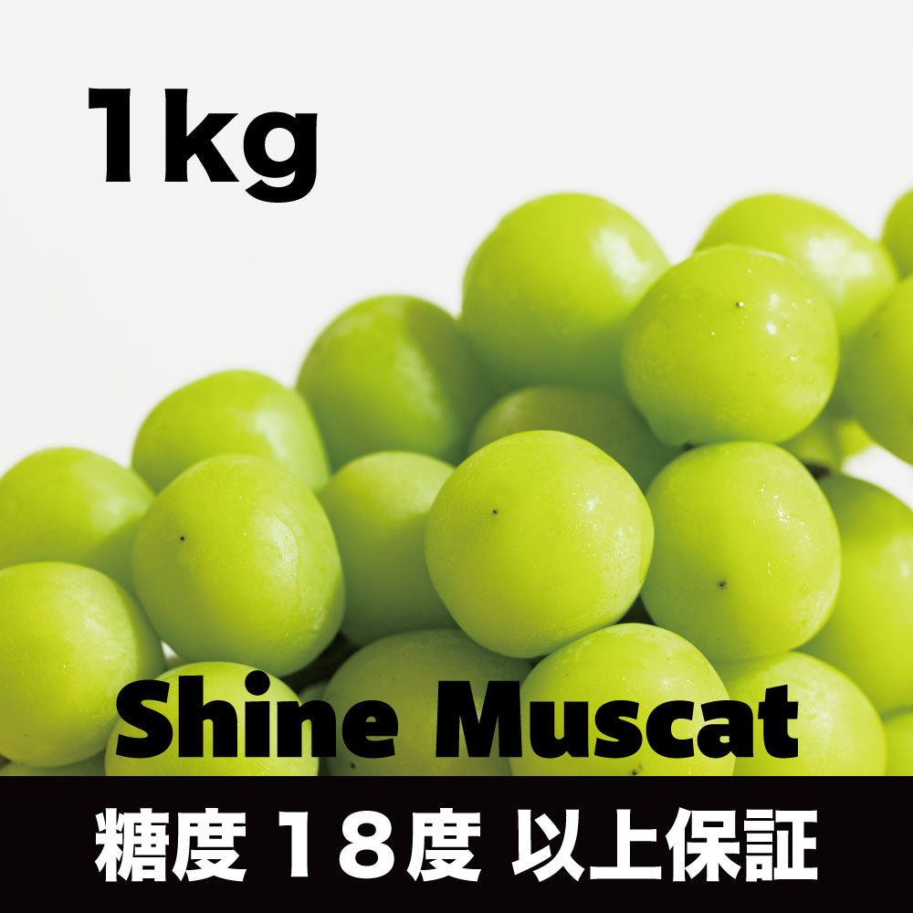 シャインマスカット【約1kg/2~3房/糖度18度保証】EC007(税込)