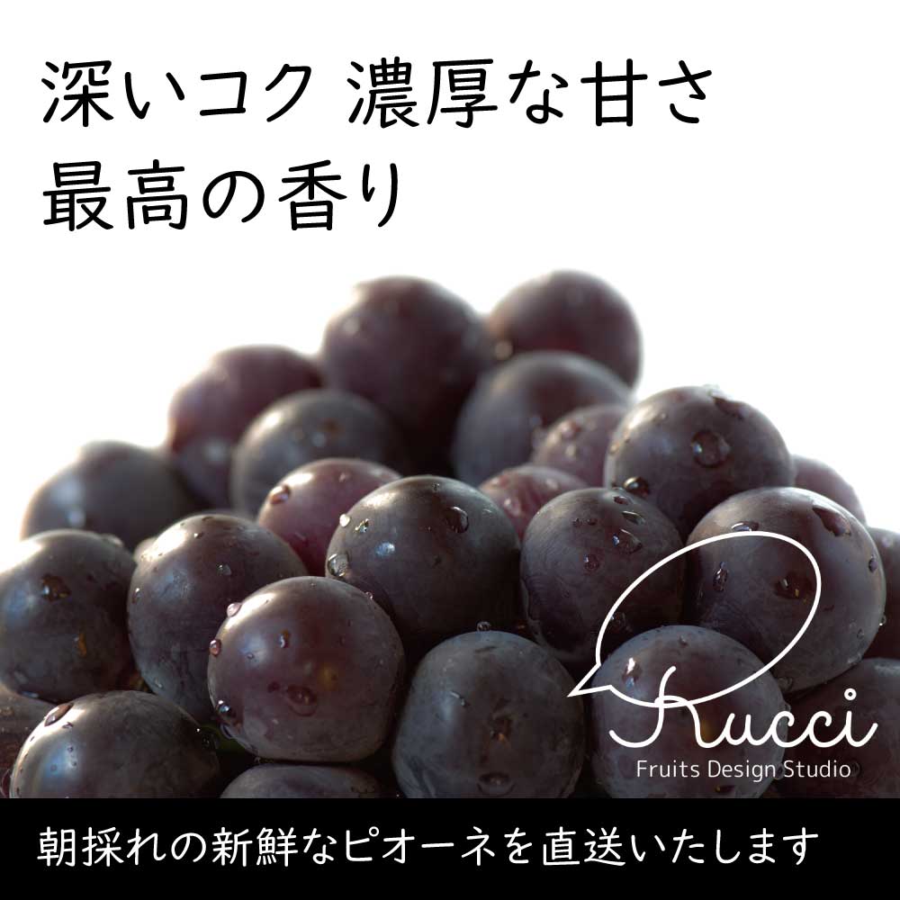 ピオーネ【約1kg/2~3房/糖度18度保証】EC012(税込)