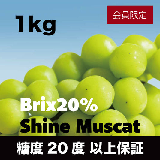 20度シャインマスカット【約1kg/2〜3房/糖度20度保証】  EC014（税込）