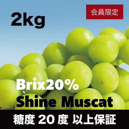 20度シャインマスカット【約2kg/2〜5房/糖度20度保証 】EC015（税込）