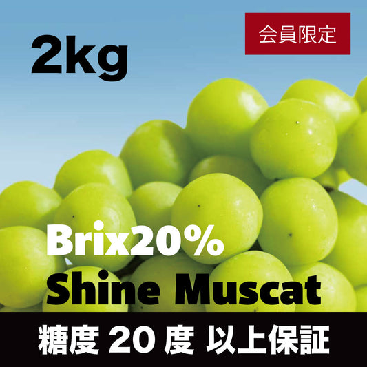 20度シャインマスカット【約2kg/2〜5房/糖度20度保証 】EC015（税込）