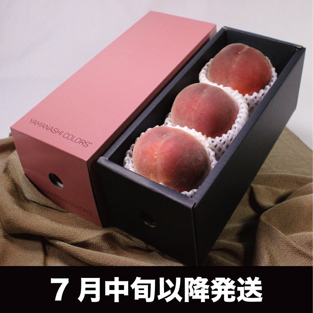「硬質桃」【約1kg/3玉/糖度14度保証】皮ごと食べられる硬い桃 EC004（税込）