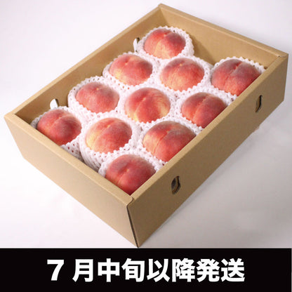 「硬質桃」【約３kg/7〜12玉/糖度14度保証】皮ごと食べられる硬い桃 EC006（税込）