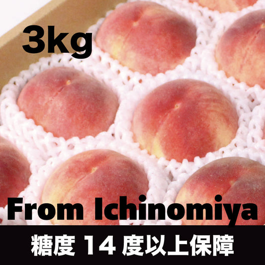 「いちのみや」の桃【約3kg/7～12玉/糖度14度保証】EC003（税込）