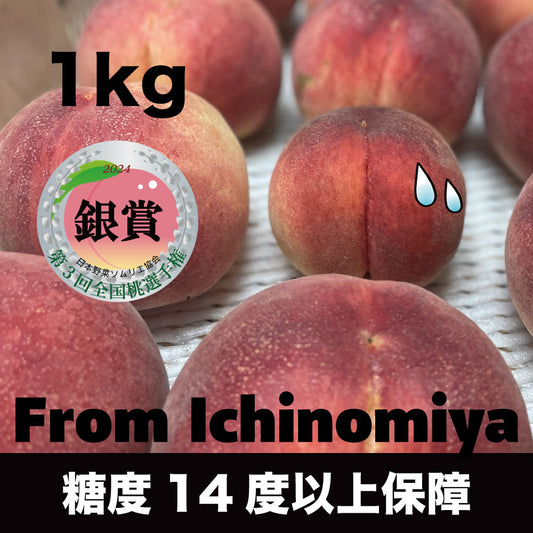 「いちのみや」の大玉桃【約1kg/3玉/糖度14度保証】EC001（税込）