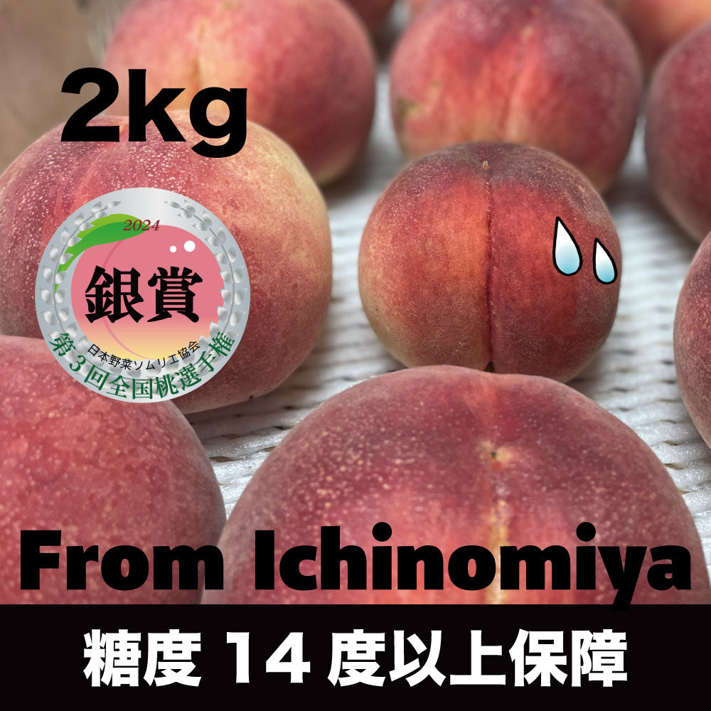 「いちのみや」の大玉桃【約2kg/4～6玉/糖度14度保証】EC002（税込）