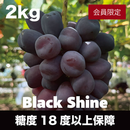 富士の輝＜ブラックシャインマスカット＞【約2kg/2～4房/糖度18度保証】EC023（税込）