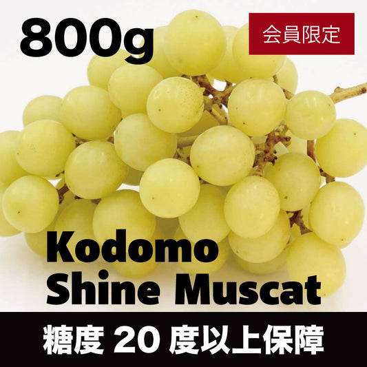 こどもシャインマスカット【約800g/2〜3房/糖度20度保証 】EC017（税込）