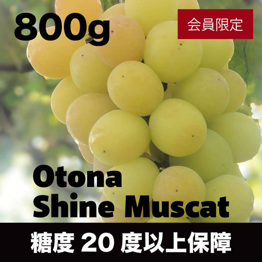 大人シャインマスカット【約800g/2〜3房/糖度20度保証 】EC016（税込）