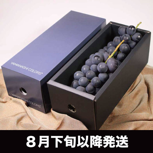 ピオーネ【約1kg/2～3房/糖度18度保証】EC012（税込）