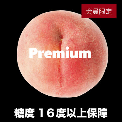 プレミアム「いちのみや」の大玉桃【1玉×400g以上/糖度16度保証】EC028（税込）