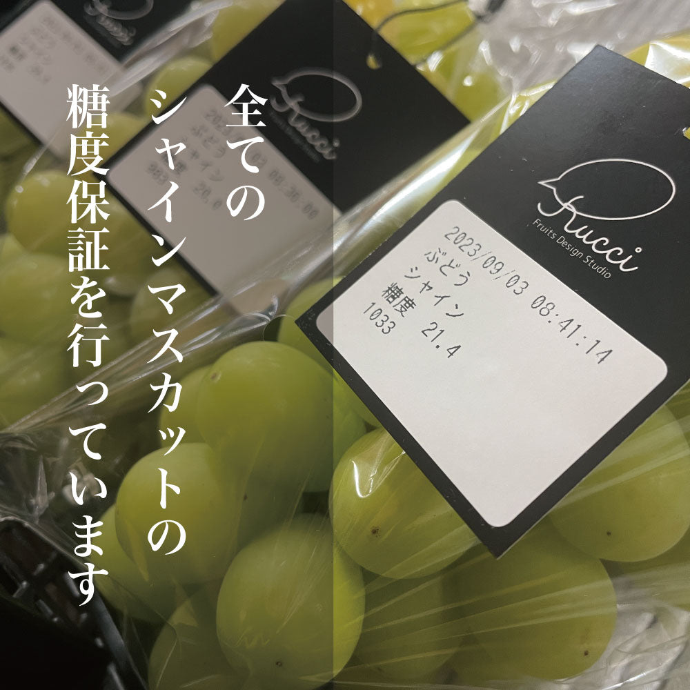 プレミアムシャインマスカット【700ｇ以上/1房/糖度20度保証】  EC024（税込）