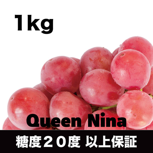 クイーンニーナ【約1kg/2～3房 /糖度20度保証】EC010（税込）