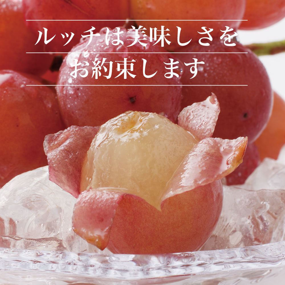 クイーンニーナ【約2kg/2～5房/糖度20度保証 】EC011（税込）