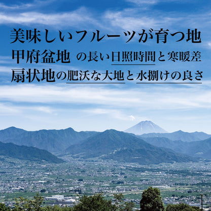 クイーンニーナ【約2kg/2～5房/糖度20度保証 】EC011（税込）
