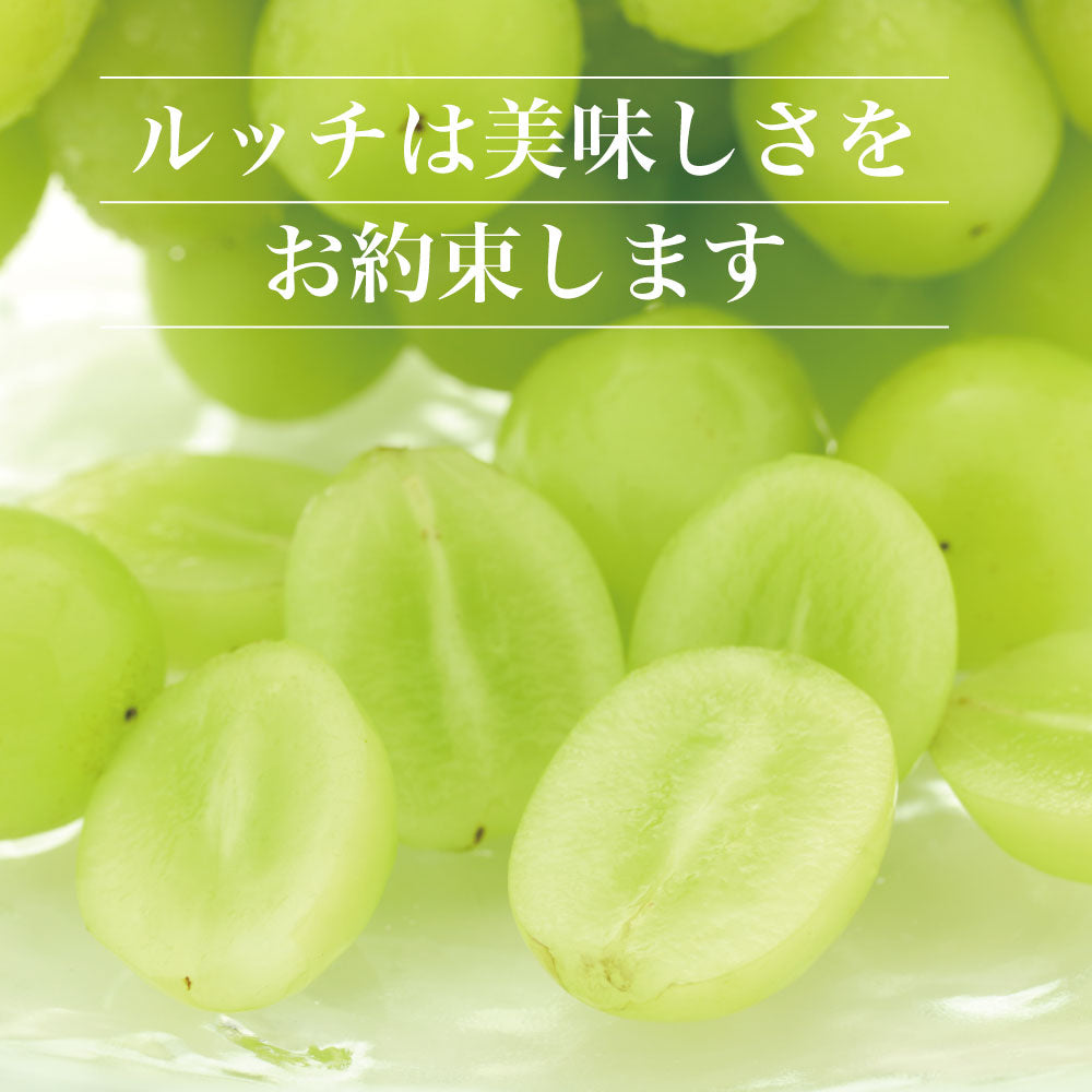 シャインマスカット【約2kg/2～5房/糖度18度保証】EC008（税込）