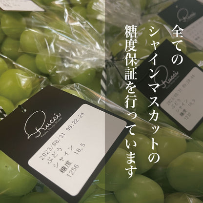 シャインマスカット【約2kg/2～5房/糖度18度保証】EC008（税込）