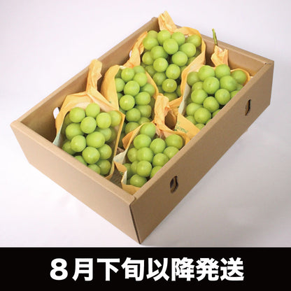 シャインマスカット【約3kg/4～8房/糖度18度保証】EC009｛税込み｝