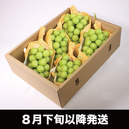 シャインマスカット【約3kg/4～8房/糖度18度保証】EC009｛税込み｝