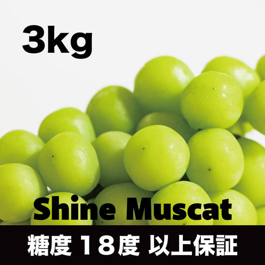 シャインマスカット【約3kg/4～8房/糖度18度保証】EC009｛税込み｝