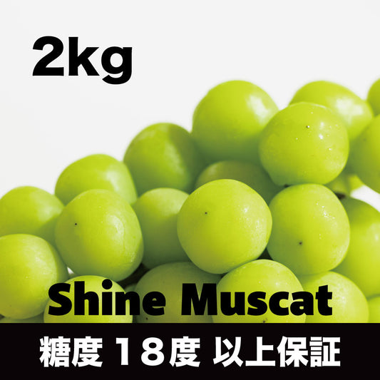 シャインマスカット【約2kg/2～5房/糖度18度保証】EC008（税込）