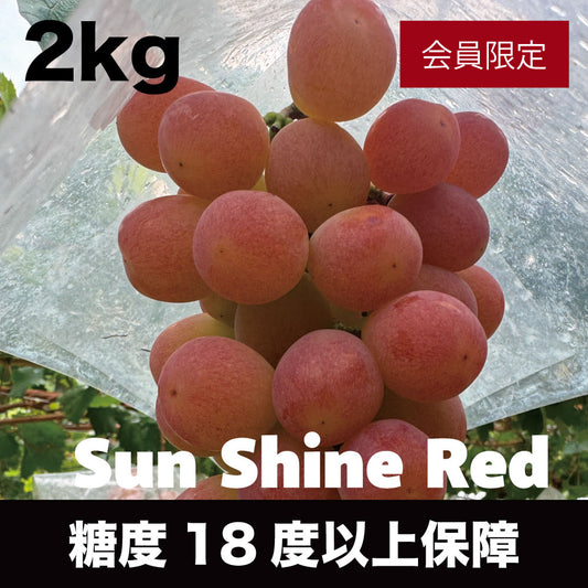 サンシャインレッド【約2kg/2～5房/糖度18度保証】EC025（税込）