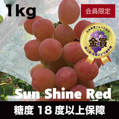 サンシャインレッド【約1kg/2～3房/糖度18度保証】EC022（税込）