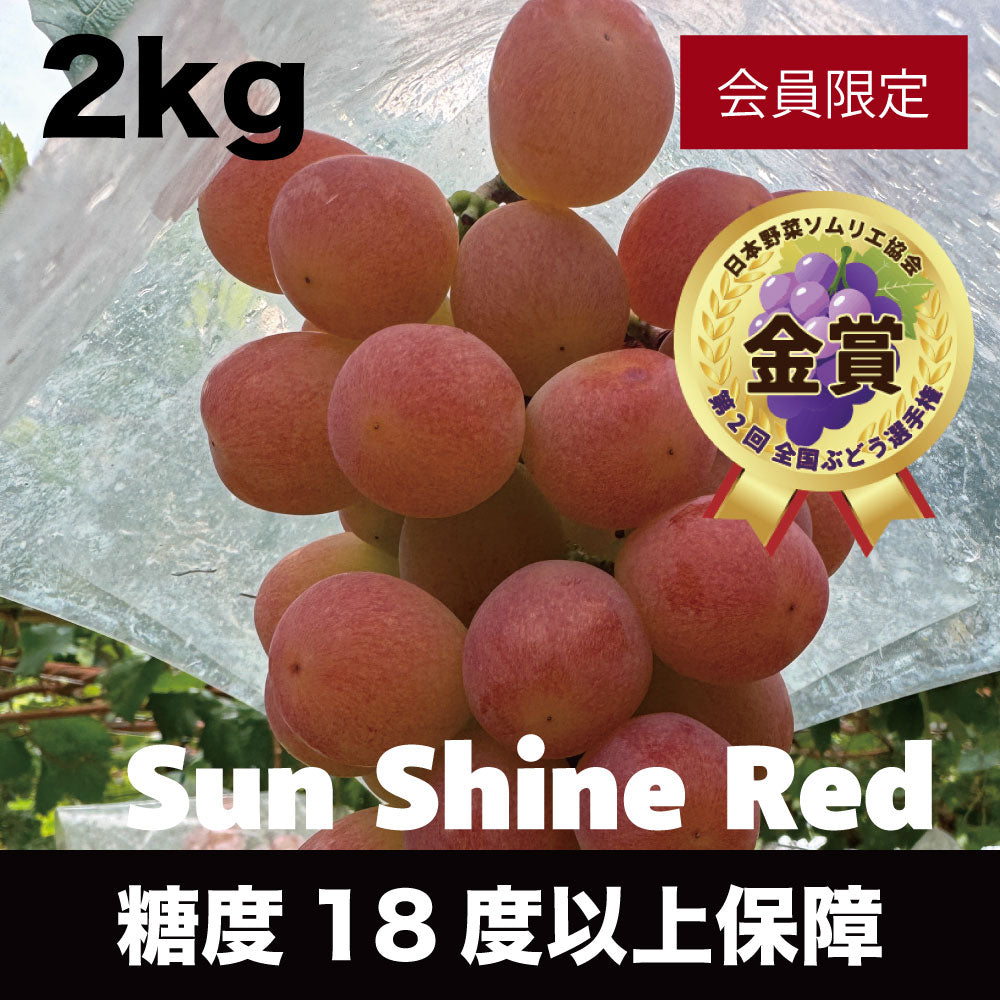 サンシャインレッド【約2kg/2～5房/糖度18度保証】EC025（税込）