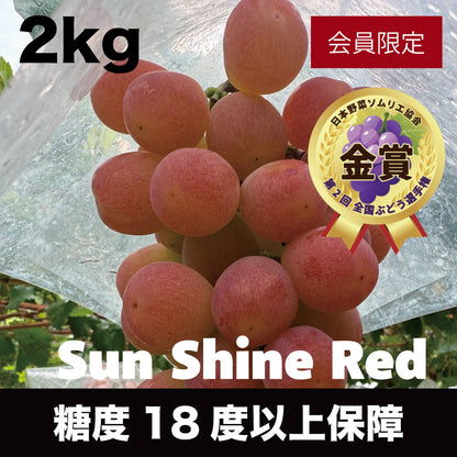 サンシャインレッド【約2kg/2～5房/糖度18度保証】EC025（税込）