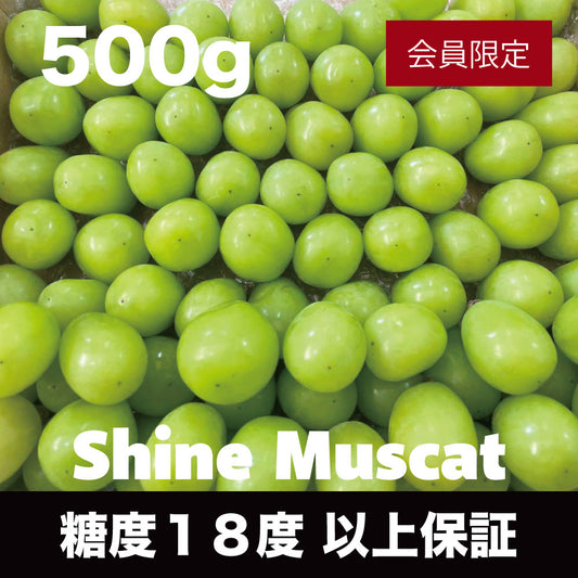 粒シャインマスカット【約500g/糖度18度保証】EC027（税込）